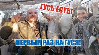 Охота на ГУСЯ в Республике Мордовия