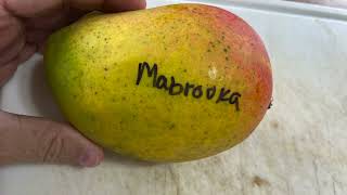 Mabrooka Mango - Tasting Florida Grown Mangos