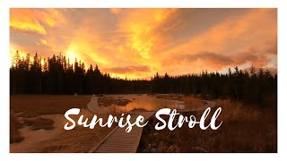 Virtual walk. A sunrise stroll at The Beaver Boardwalk in Hinton, Alberta, Canada.