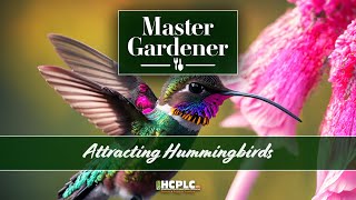 Master Gardener - Attracting Hummingbirds