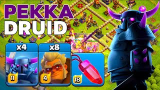 Hit or Miss? TH16 Druid Pekka Smash in Legend League Attacks! Clash of Clans