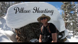 Splitboarding Colorado! Epic Snowboard Ride Exploring Rocky Mountains