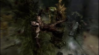 A Skyrim Compilation