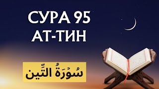 СУРА 95 АТ-ТИН (СМОКОВНИЦА)