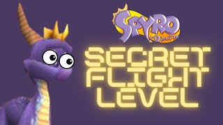 Hidden Level in Spyro the Dragon | Sunny Flights