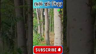 Low price land for sale | Cheap price | @FreshpropertyWestBengal| #realestate #reels #viralvideo