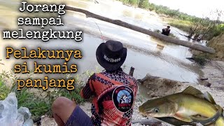 Joran Sampai Melengkung di tarik ikan berkumis panjang #mancingbaung #mancing