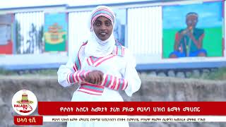 የሀላባ ህዝብ ልማት ማህበር እንቅስቃሴ