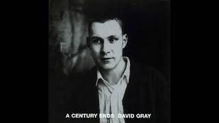 David Gray - Shine