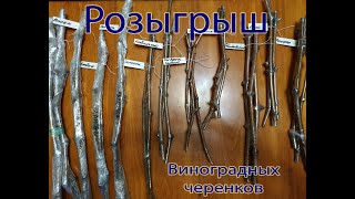 Внимание! Розыгрыш виноградных черенков!!!