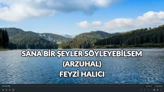 Sana bir şeyler söyleyebilsem | Arzuhal | Feyzi Halıcı