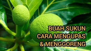 BUAH SUKUN SEDAP | Cara Mengupas & Menggoreng