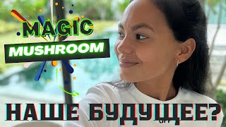 Magic Mushroom | Растения учителя | Волшебные грибы 🍄 #растенияучителя