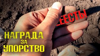 НАГРАДА за упорство! Я его НАШЁЛ! Коп с прибором Rutus Alter 71  (Рутус Альтер 71)