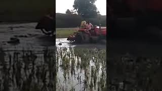 Mahindra 555 #tractor New Holland 3510 #tractor #sonalika #kubota #viral  #youtubeshort #video