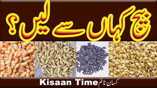 New Seed kahan se len? بیج کہاں سے لیں؟ kisan time