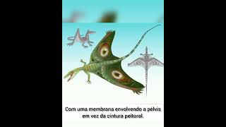 ANIMAIS QUE VOCÊ PROVAVELMENTE NÃO CONHECIA - SHAROVIPTERYX MIRABILIS