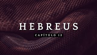 Os filhos de Deus e os filhos da serpente - (Hebreus capítulo 12)