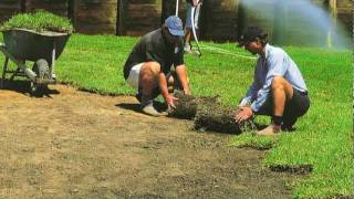 Laying new turf / Lawn Installation - Cobbitty Turf