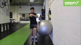 Single Leg Squat with Exercise Ball