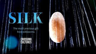 Silk: The most precious gift from silkworms