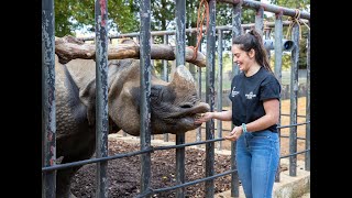 Keeper For a Day experience at Whipsnade Zoo