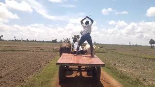 4  🏆 paturu thrpu pallepalem village junior bulls at rayapeta junior bull race9-10-24.  5.12.3