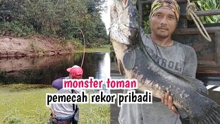 TOMAN MONSTER..!!?  SANG PEMECAH REKOR  //CASTING TOMAN