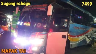 Driver alus tur nyaman!trip sugeng rahayu 7499 (mapak yai)