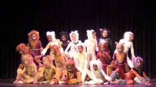 CATS - Escuela de Ballet Cinderella