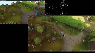 OSRS   Runelite vs HDOS graphics comparison