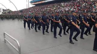 GUARDA CIVIL METROPOLITANA NO DESFILE CÍVICO-MILITAR DO 7 DE SETEMBRO