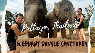 Pattaya, Thailand | Elephant Jungle Sanctuary