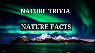 5 Amazing Animal Facts | Nature Trivia |Interesting Things in Nature,Northern Lights Aurora Borealis