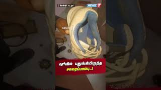 ஷூவில் பதுங்கியிருந்த சாரைப்பாம்பு..! |Kadalur|