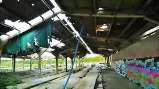 Mushroom farm bando FPV