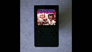 International Karate 2000 for Gameboy Color on the Analogue Pocket