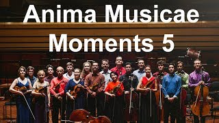 Anima Musicae Moments 5: Mozart D major Divertimento (K 136) 3rd movement