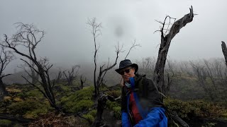 El Bosque Quemado en diciembre y en agosto 2023 - Faldas del Volcàn Turrialba - Costa Rica