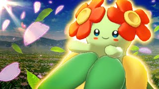 You won't BELIEVE this BUSTED BELLOSSOM SET