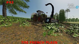 Devouring Some Trees // Farming Simulator 22 // The French Plain - Ep. 43 #farmingsimulator22 #fs22