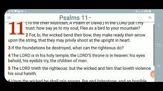 KJV-Daily Bible: p.m. Psalm  11:1-7