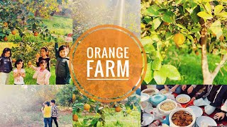 A Family Trip to ORANGE FARM🍊| പിന്നെ ഞമ്മളെ കോഴിക്കോട്‌ ബിരിയാണിയും | Riyadh to Hariq | PART-1