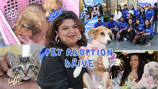 Pet adoption camp for rescued puppies | Petofy. #adoptdontshop