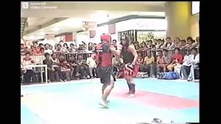 Regional Wushu Sanda Championship 2005