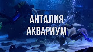 🐠🐡🦈 Antalya Aquarium