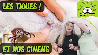 Les TIQUES & Les CHIENS - SOS CHIEN Documentaire