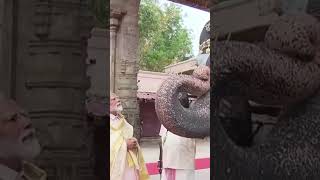 #pmmodi #blessings from #elephant