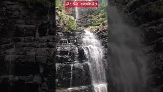 తలకోన జలపాతం - ఆంధ్ర ప్రదేశ్ లో ఎత్తైన జలపాతం | Telugu traveller | Batasari Travel tales