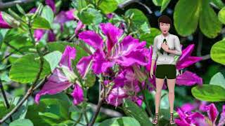 Purple Orchid Peril A Tree Doctor’s Battle Against Disease